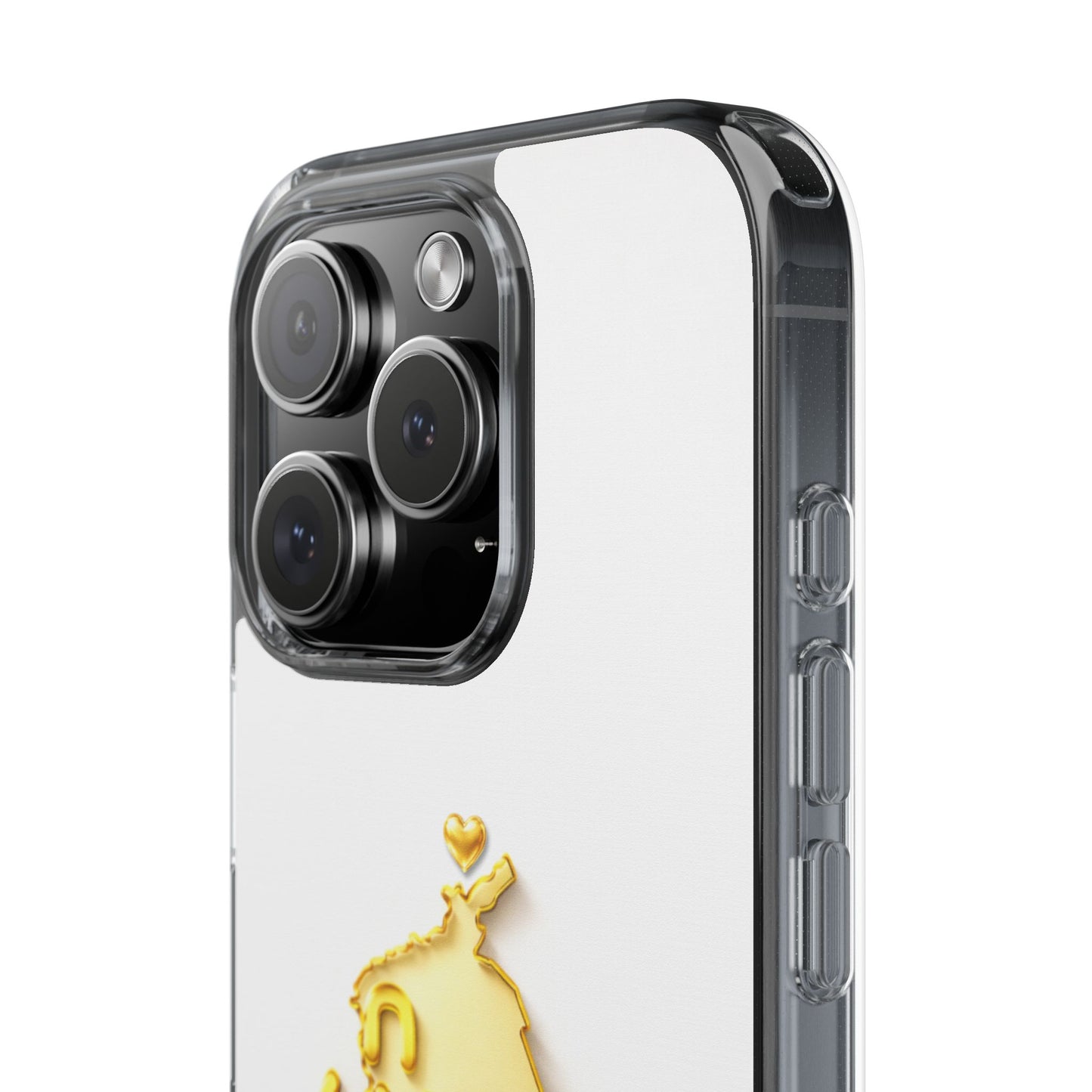 Gold 3D Punjab map design on a white back panel with clear, transparent sides.