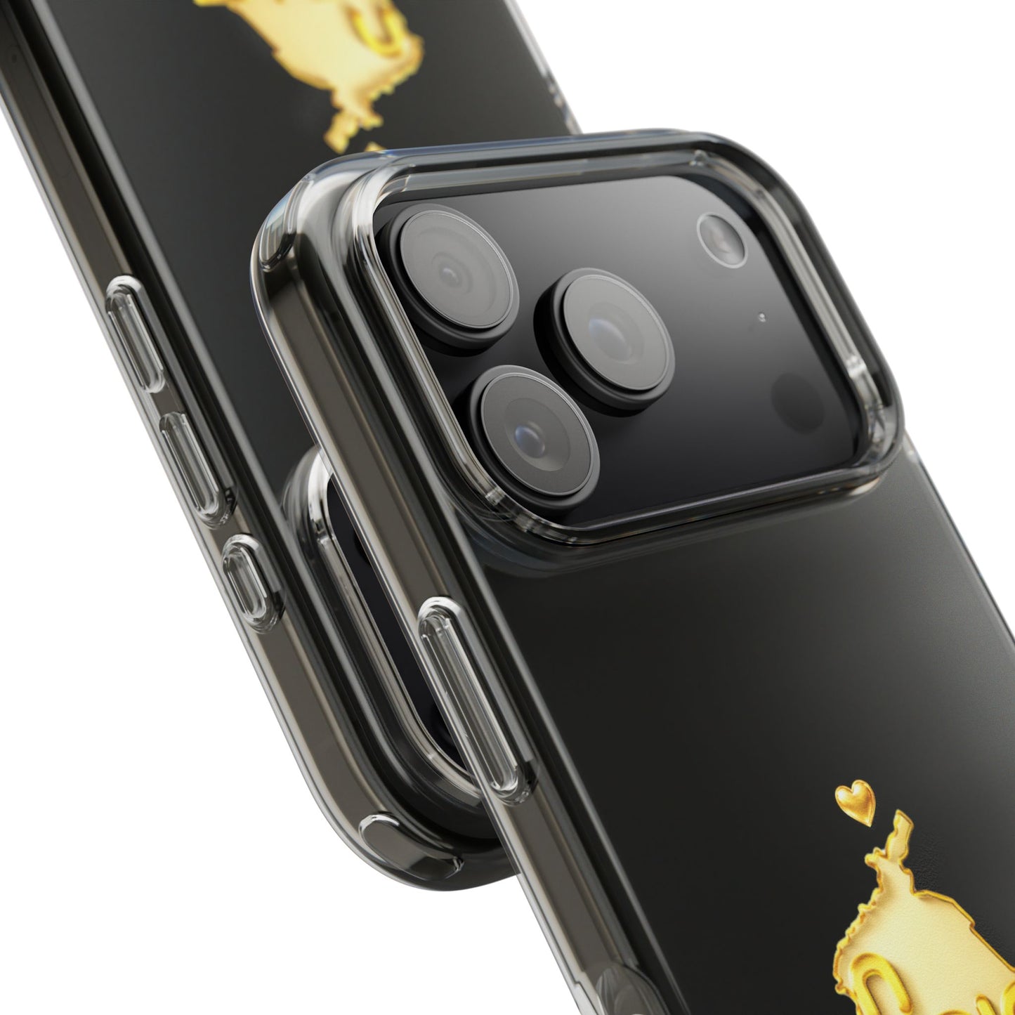 Gold 3D Punjab Map Clear iPhone Case